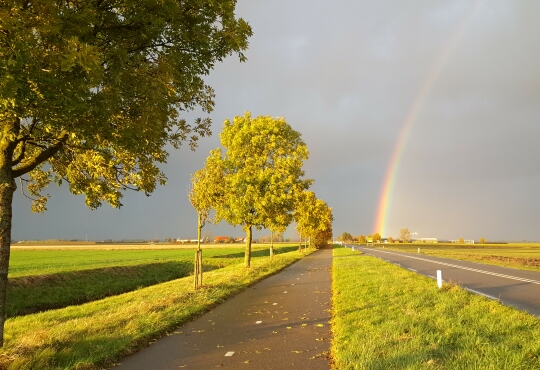 oud-beyerland langeweg regenboog 2 bomen november 2016